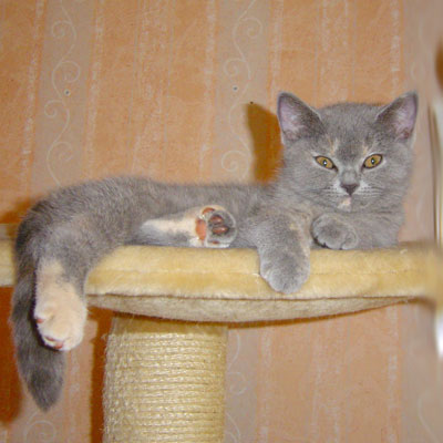 Sweet-Revolutions Maruscha
